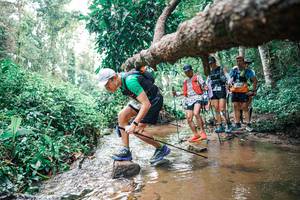 BIB: 
                            <button type="button" onclick="openModal(25372497)" class="btn btn-primary btn-sm float-right btn-popup" data-toggle="modal" data-target=".modal-high-quality">
                        <i class="fas fa-shopping-cart"></i> Add to Cart
                    </button>
                                            <button type="button" onclick="isThisMe(25372497, true)" class="btn btn-success btn-sm float-right btn-popup btn-isme hidden" data-toggle="tooltip" data-placement="bottom" title="นี่คือรูปของคุณใช่ไหม คลิกที่นี่เพื่อเอาเข้าอัลบั้ม">
                        <i class="fas fa-plus"></i> Add to album
                    </button>
                    <button type="button" onclick="isThisMe(25372497, false)" class="btn btn-warning btn-sm float-right btn-popup btn-isnotme hidden">
                        <i class="fas fa-ban"></i> Remove from album
                    </button>